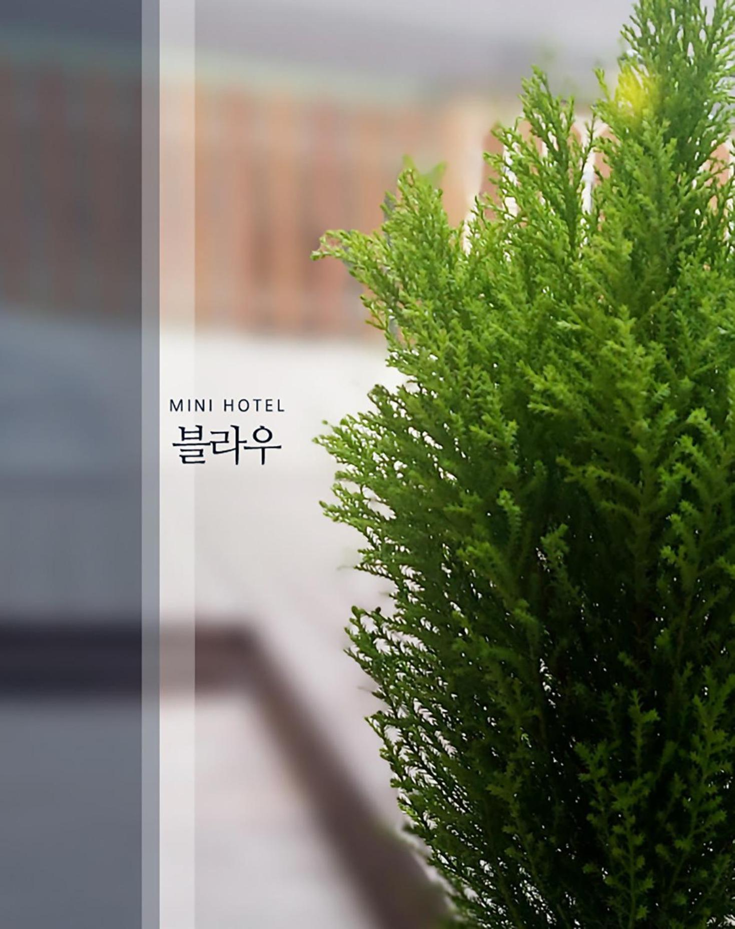 Blau Guesthouse Gyeongju Ngoại thất bức ảnh