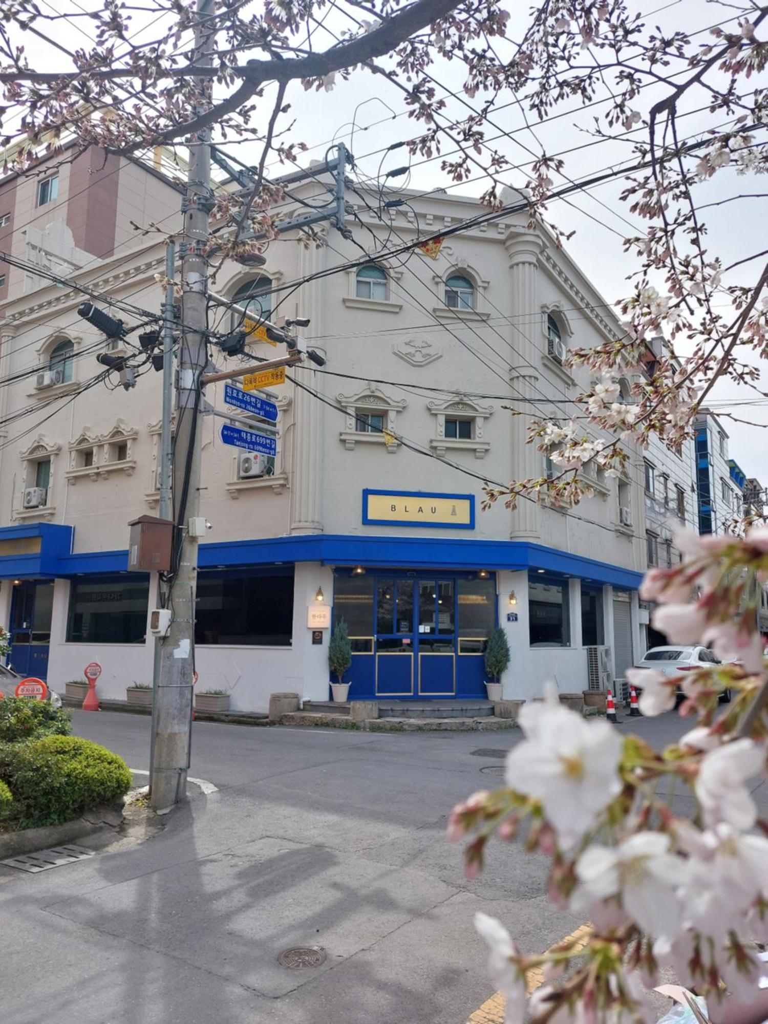Blau Guesthouse Gyeongju Ngoại thất bức ảnh